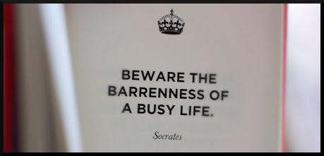 beware-the-barrenness-of-a-busy-life-books-quote